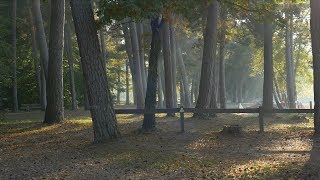 Ripped an Another Park ¦ FPV FreeStyle