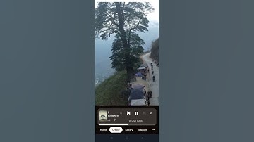 cây cô đơn Hà Giang