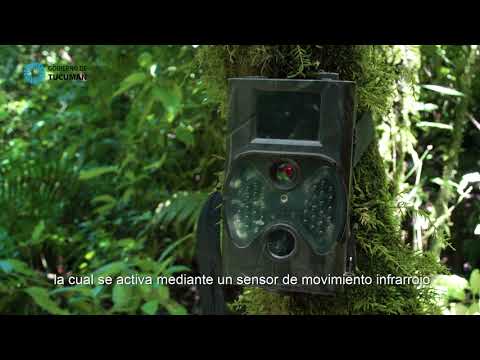 MES DEL AMBIENTE MES DEL AMBIENTE