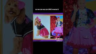 Dress Your Dog Like Jojo Siwa For Halloween