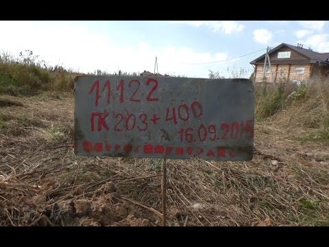 Высокоскоростная магистраль (ВСМ) будет резать по живому? - YouTube Томикс ТВ