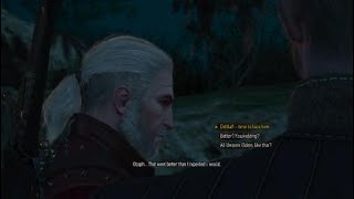 The Witcher 3: Wild Hunt – The unseen elder Vampire lair