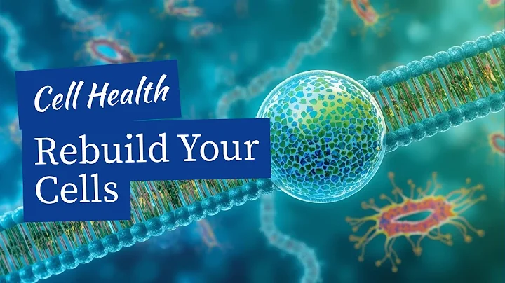 Repair Damaged Cell Membranes: 3 Essential Fats for Mitochondrial Health