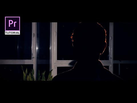 How to Change your Voice into Someone Else | Premiere Pro Tutorial