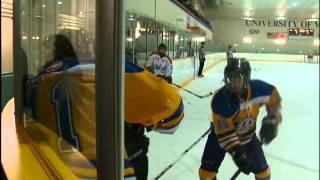 Your Island Sports: December 7, 2012