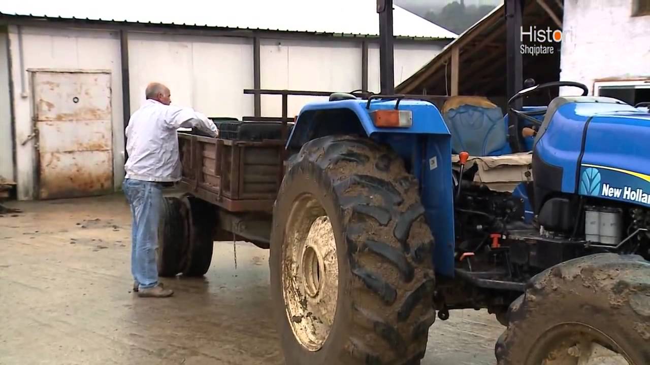 MOLLA E FAMSHME E DIBRES NE 'HISTORI SHQIPTARE' NGA ALMA CUPI  | ABC NEWS