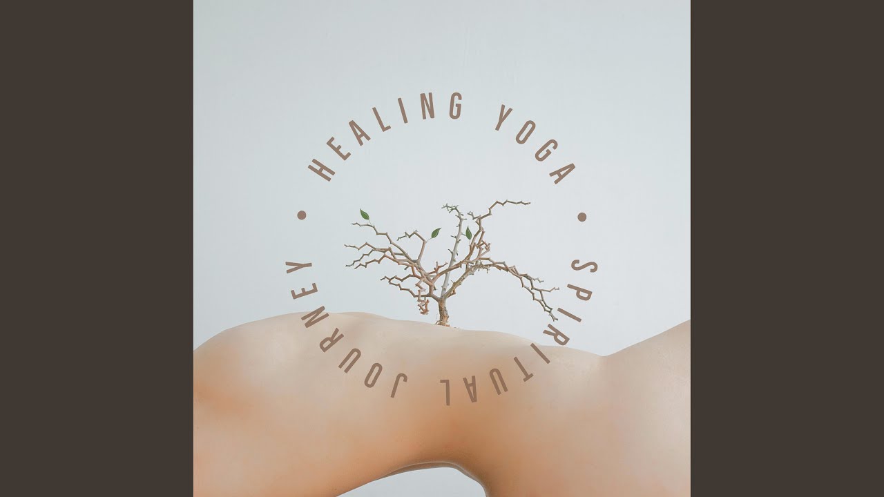 Look up at the Stars