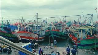cantrang Tegal #cantrang