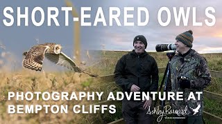 Owl Amazing - Photographing Short Eared Owls