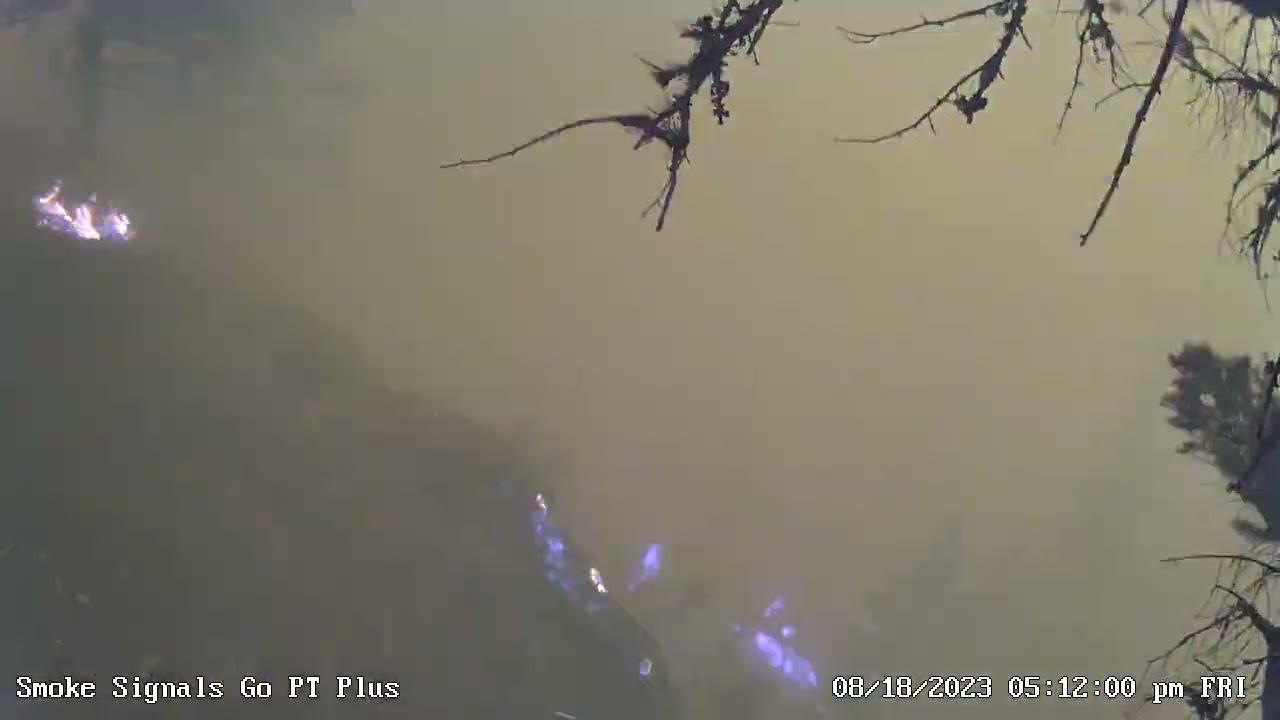 Scotch Creek Firestorm 2023 Time lapse.