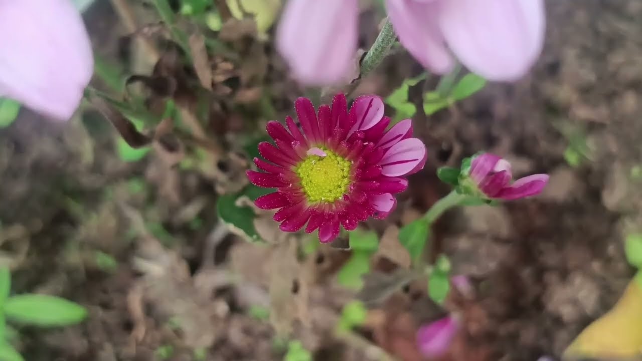 Jan 8 தன்னுடைய சொந்த தங்கச்சி தனக்கு நம்பிக்கை துரோகம் செய்ததை நினைத்து வேதனையில் ஈஸ்வரி