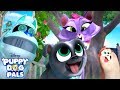 Follow the Leader | Playtime with Puppy Dog Pals | Disney Junior