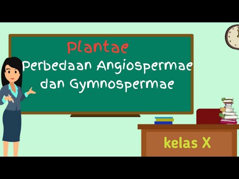 Video: Perbedaan Antara Angiospermae Dan Gymnospermae