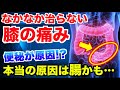 【膝が痛い本当の原因は“腸”だった？】便秘が引き起こす『膝痛の連鎖』