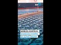 Marcas asiáticas dominan el mercado digital para la compra de un auto nuevo y seminuevo