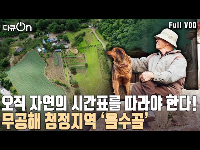 13년 전 전기가 들어왔다?! 이웃 하나 없는 을수골에 외로울 새가 없고 자칭 '터줏대감'인 산골 현자가 산다~ [다큐온 KBS 20240413 방송] class=