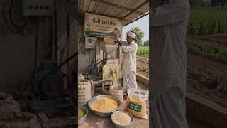Mini Dal Mill on the Farm: Value Addition, More Profit! 🌾⚙️