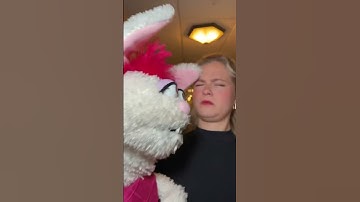 Petunia not giving space for me. | Darci Lynne