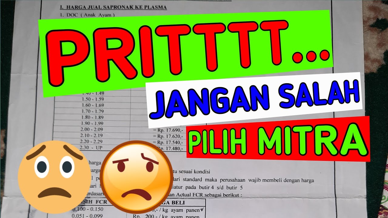 MEMILIH MITRA YANG TEPAT BETERNAK AYAM BROILER 