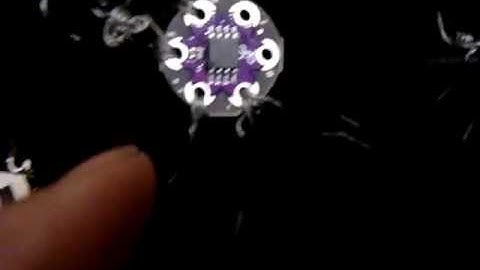 Lilypad Twinkle on my jacket