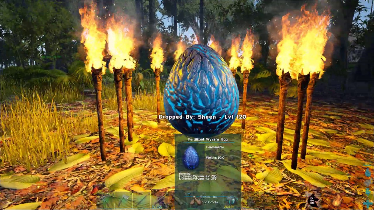 How To 100 Imprint A Wyvern Without Milk Ark Survival Evolved Youtube