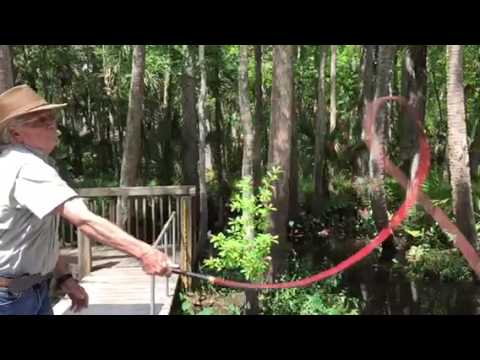 Whip crack in slow motion