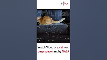 Taters the cat stars in NASA