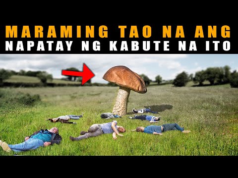 Video: Edible mushroom na mukhang kabute