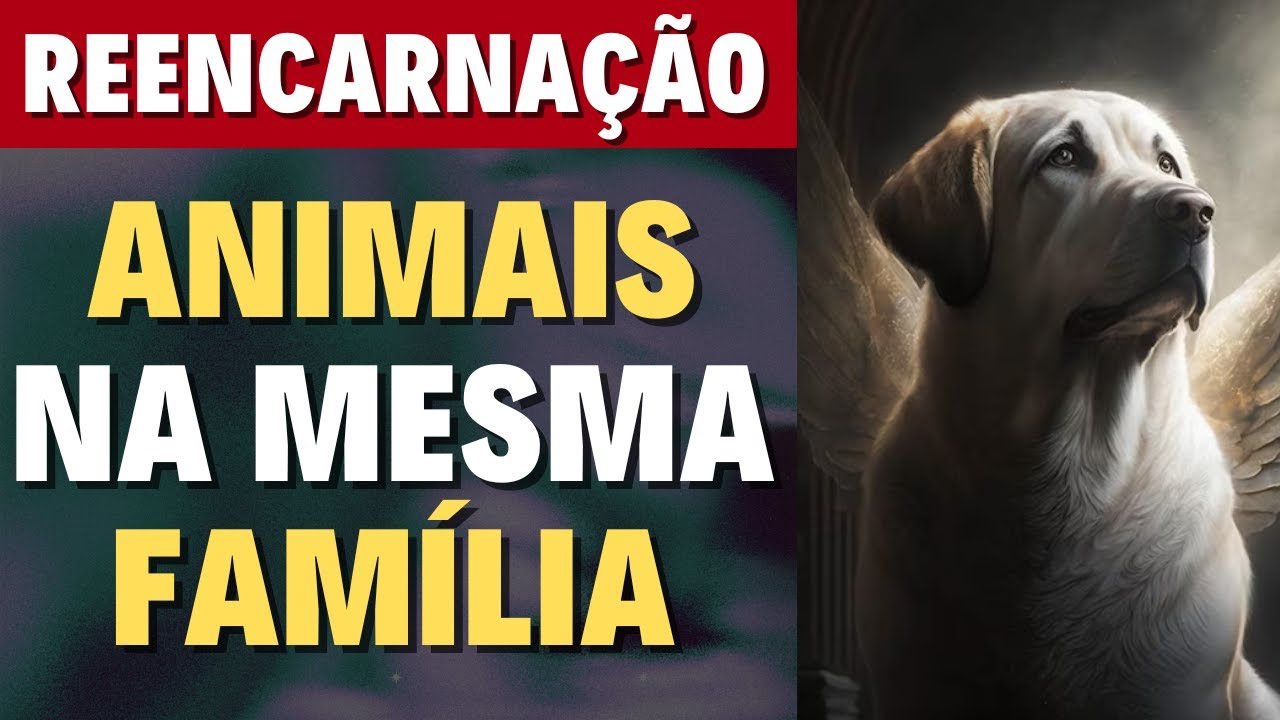 ANIMAIS QUE VOLTAM I Mensagem Espírita