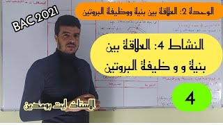 الوحدة 2:العلاقة بين بنية ووظيفة البروتين النشاط 4:العلاقة بين بنية و وظيفة البروتين أبومدينBAC 2021