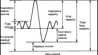 Total Lung Capacity Tidal volume Residual volume Expiratory reserve volume Inspiratory Reserve