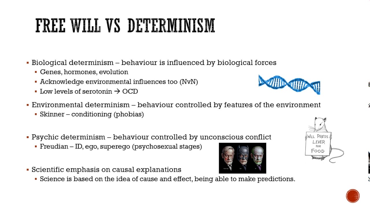 free will vs determinism essay psychology