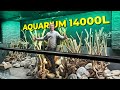 Cest la galre je commence le dcor  aquarium de 14000 litres 15 tonnes de roches