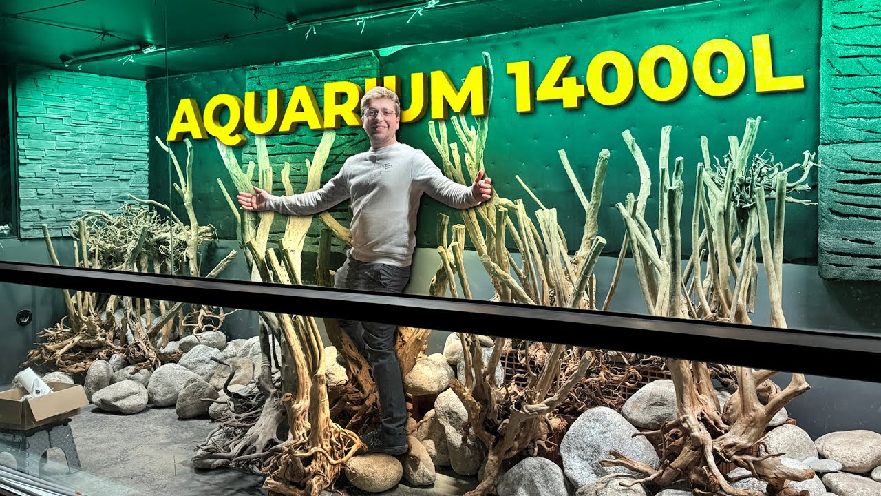 Cest la galre je commence le dcor  Aquarium de 14000 Litres 15 tonnes de roches