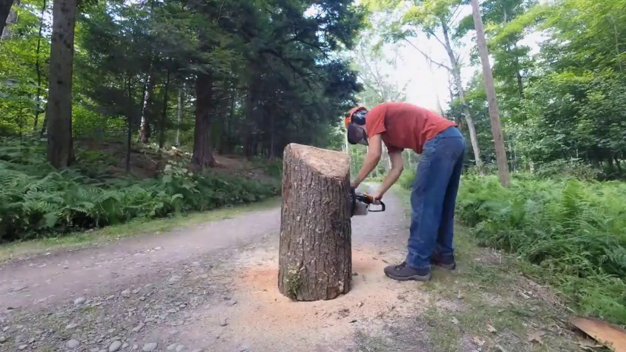 Bass Chainsaw Carving YouTube