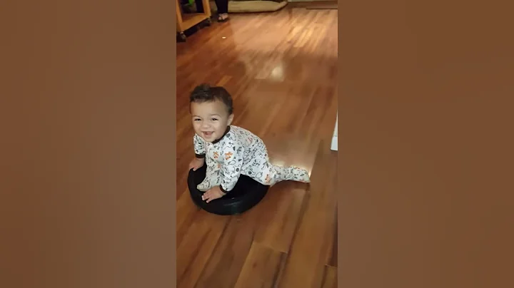 iRobot Babysitter