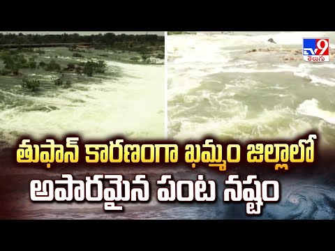 Cyclone Montha Effect in Telangana : తుఫాన్ కారణంగా ఖమ్మం జిల్లాలో అపారమైన పంట నష్టం - TV9 - TV9