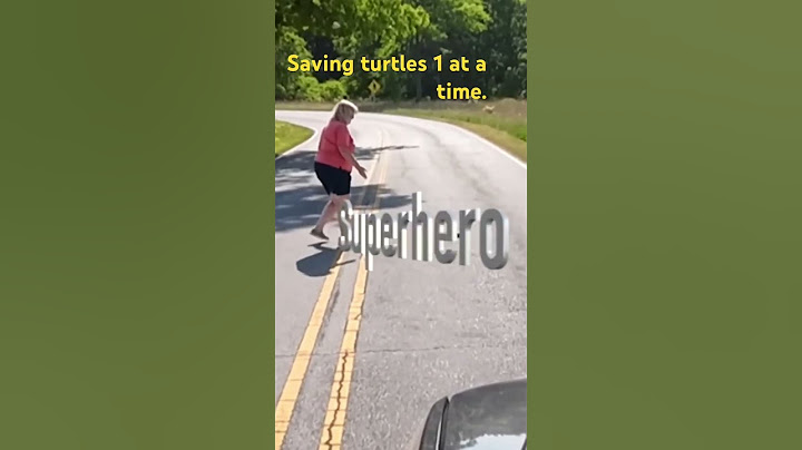 Saving a turtles life! #turtle #savetheturtles #hero #rvlife #travel #adventure #rv #nps  #superhero