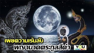 เผยความเร้นลับของพญานาคตระกูลกัณหาโคตมะ หรือพญานาคสีดำ (The mysterious of the black naga)