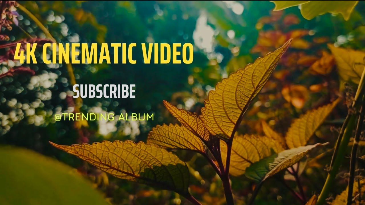 4k Cinematic Nature Video @TrendingAlbum - YouTube