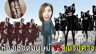 [ENG SUB] Human Slaughter Room VS Evil Cat!