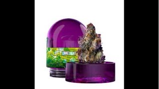 “Live Stream Review: First Impressions of Limelight by Wizard Trees! 🌿✨” #live #mmj #cbd #viral