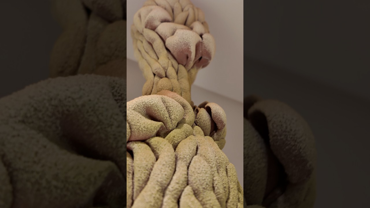 Ceramics at The GardinerMuseum @gardiner museum