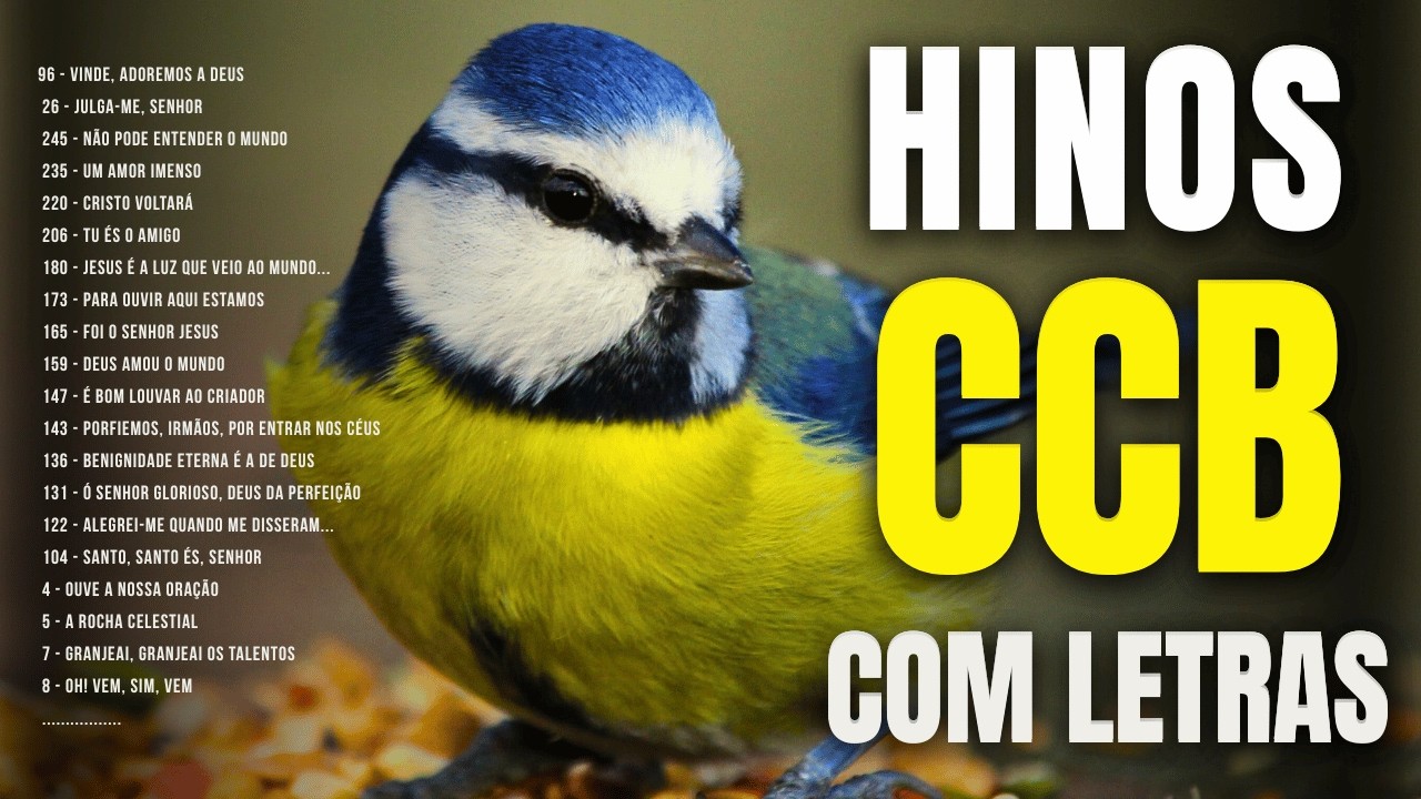 HINOS CCB COM LETRAS | QUE DESCEM FOGO DO CÉU | ARREPIAM ATÉ A ALMA | #hinosccb #ccbhinos