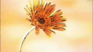 Johann Sebastian Bach : Cantata No. 147, "Herz und Mund und Tat und Leben," BWV 147 (BC A174)