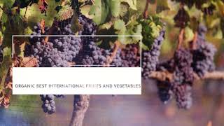 Agriculture Products - Fresh Egyptian Red Globe Gs