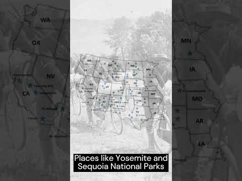 Buffalo Soldiers In The U S Army Shorts 