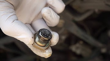 NB Miata Diff Fluid Change