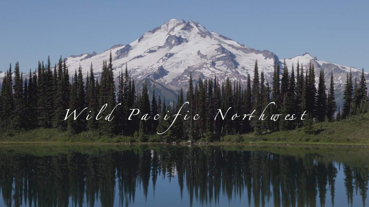 Wild Pacific Northwest | Visions