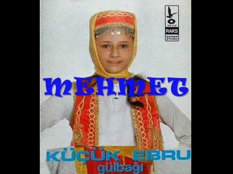 küçük ebru gül fidan